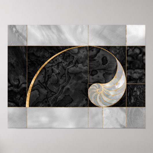 Nautilus Shell - Black Abalone en Pearl Poster (Voorkant)