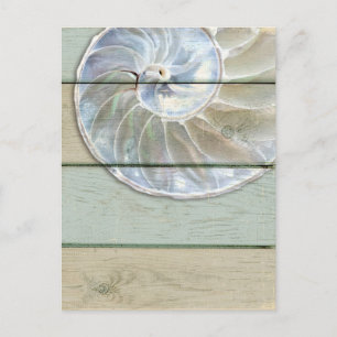 Nautilus Shell Briefkaart