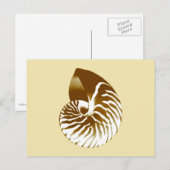 Nautilus shell - bruin, wit en beige briefkaart (Voorkant / Achterkant)