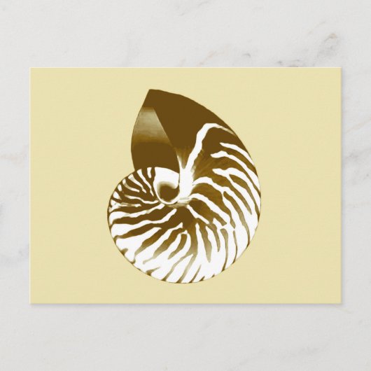 Nautilus shell - bruin, wit en beige briefkaart (Voorkant)