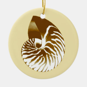 Nautilus shell - bruin, wit en beige keramisch ornament