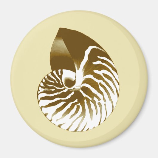 Nautilus shell - bruin, wit en beige magneet (Voorkant)