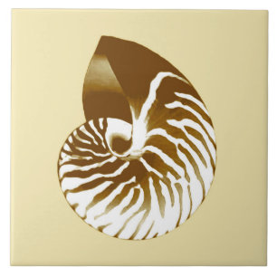 Nautilus shell - bruin, wit en beige tegeltje
