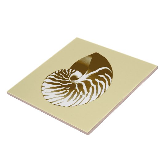 Nautilus shell - bruin, wit en beige tegeltje (Zijkant)