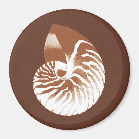 Nautilus shell - cacaobruin en wit magneet (Voorkant)