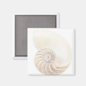 Nautilus shell, close-up magneet (Voorkant / Achterkant)