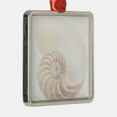 Nautilus shell, close-up metalen ornament (Rechts)