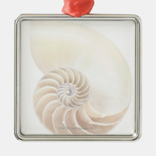 Nautilus shell, close-up metalen ornament