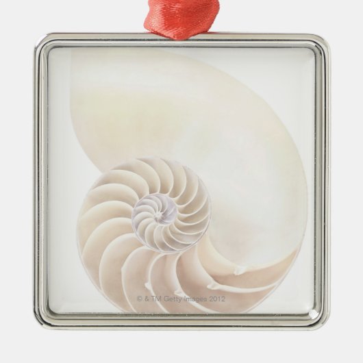 Nautilus shell, close-up metalen ornament (Voorkant)