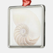Nautilus shell, close-up metalen ornament (Links)