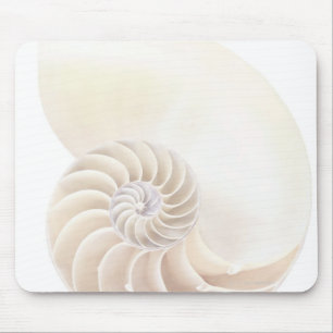 Nautilus shell, close-up muismat