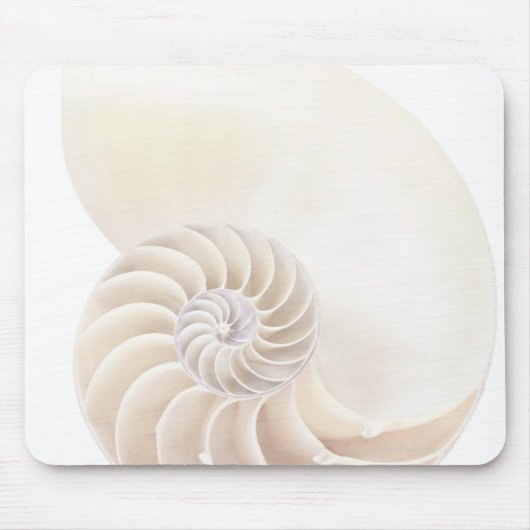 Nautilus shell, close-up muismat (Voorkant)