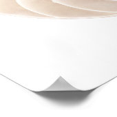 Nautilus shell, close-up poster (Hoek)