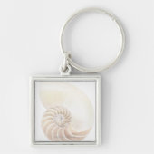 Nautilus shell, close-up sleutelhanger (Voorkant)