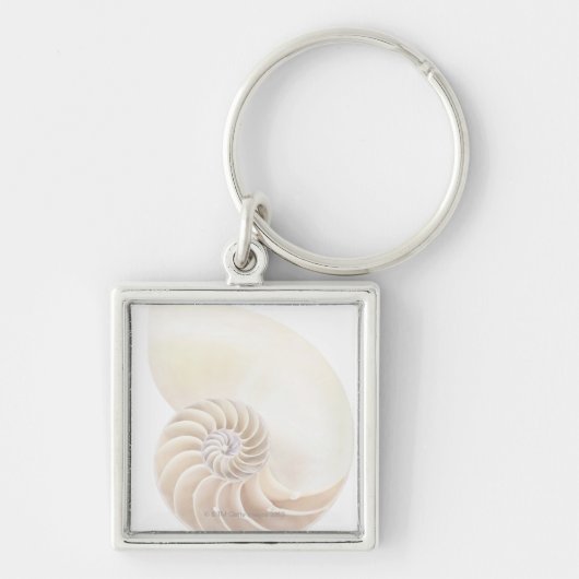 Nautilus shell, close-up sleutelhanger (Voorkant)