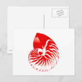 Nautilus shell - donkerrood en wit briefkaart (Voorkant / Achterkant)