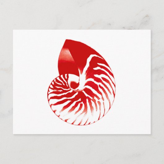 Nautilus shell - donkerrood en wit briefkaart (Voorkant)