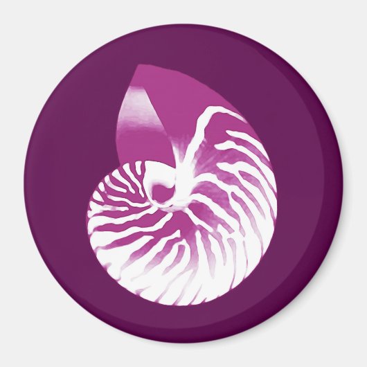Nautilus shell - eierplant paars en wit magneet (Voorkant)