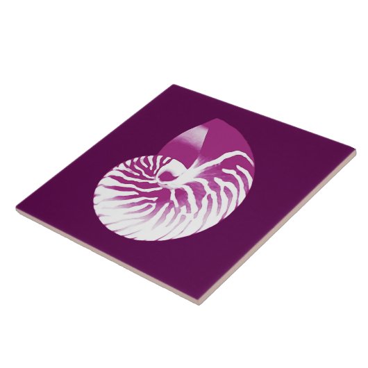 Nautilus shell - eierplant paars en wit tegeltje (Zijkant)