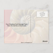 Nautilus shell Foto Briefkaart (Achterkant)