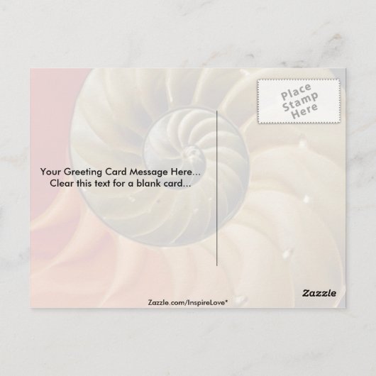 Nautilus shell Foto Briefkaart (Achterkant)