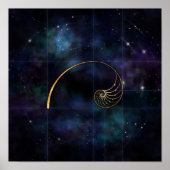 Nautilus Shell - Geometry Sacred Poster (Voorkant)