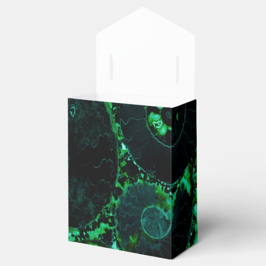 Nautilus shell - groen ontwerp bedankdoosjes (Geopend)