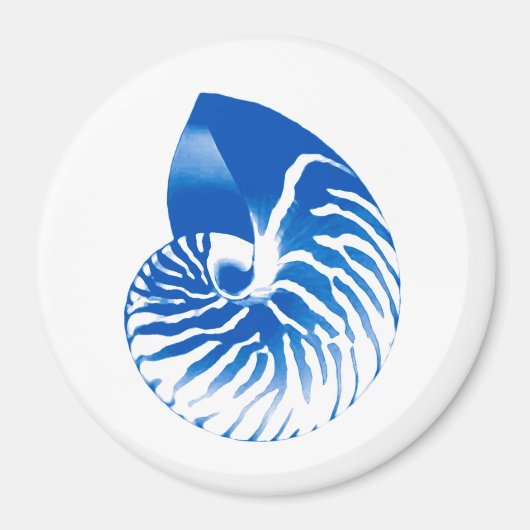 Nautilus shell - kobalt blauw en wit magneet (Voorkant)