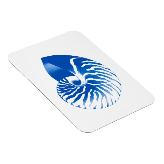 Nautilus shell - kobalt blauw en wit magneet (Rechterzijde)