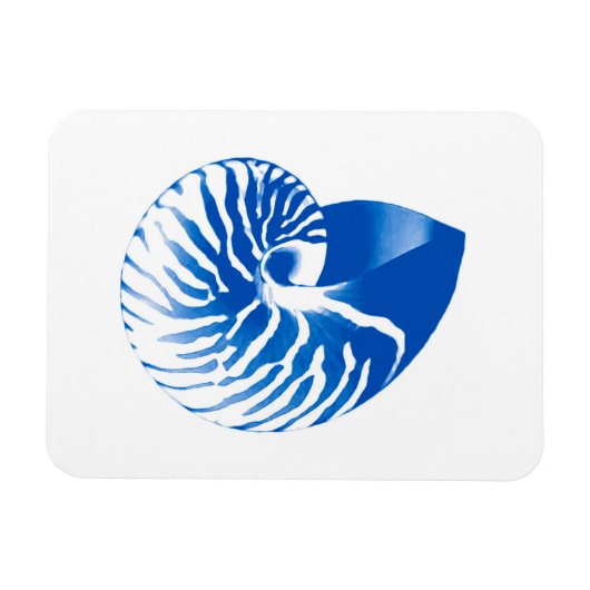 Nautilus shell - kobalt blauw en wit magneet (Horizontaal)