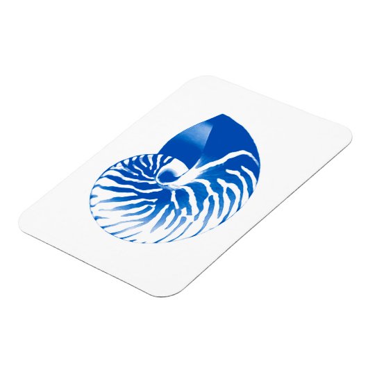 Nautilus shell - kobalt blauw en wit magneet (Linkerzijde)