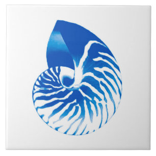 Nautilus shell - kobalt blauw en wit tegeltje