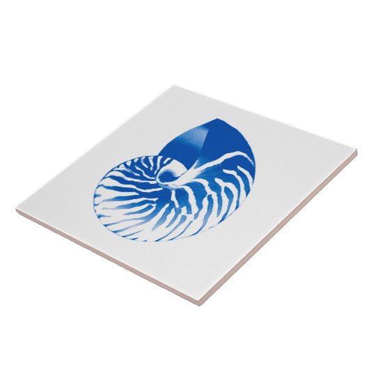 Nautilus shell - kobalt blauw en wit tegeltje (Zijkant)