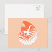 Nautilus shell - koraal oranje en wit briefkaart (Voorkant / Achterkant)