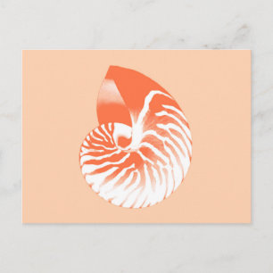 Nautilus shell - koraal oranje en wit briefkaart