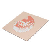 Nautilus shell - koraal oranje en wit tegeltje (Zijkant)