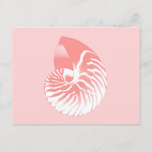 Nautilus shell - koraalroze en wit briefkaart