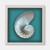 Nautilus shell magneet (Voorkant)