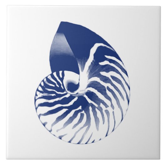 Nautilus shell - marineblauw en wit tegeltje (Voorkant)