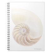 Nautilus Shell Notitieboek (Voorkant)