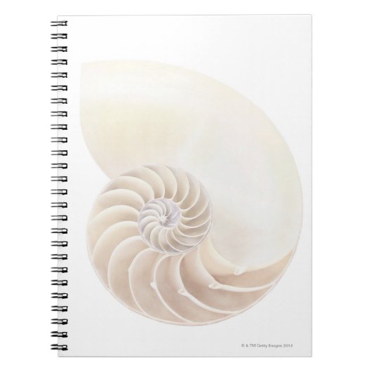 Nautilus Shell Notitieboek (Voorkant)