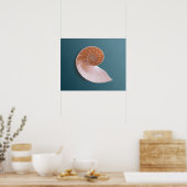 Nautilus Shell op Ocean Blue Fine Art Print (Keuken)