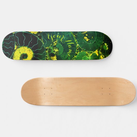 Nautilus shell persoonlijk skateboard (Horizontaal)