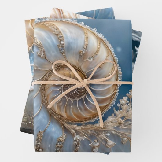 Nautilus Shell Print Inpakpapier Vel (In situ)