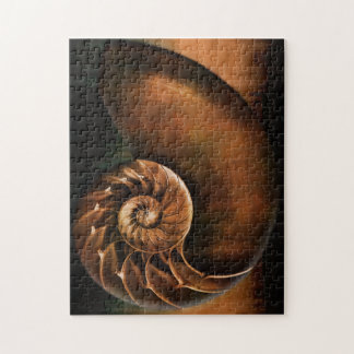 Nautilus Shell Puzzle Legpuzzel