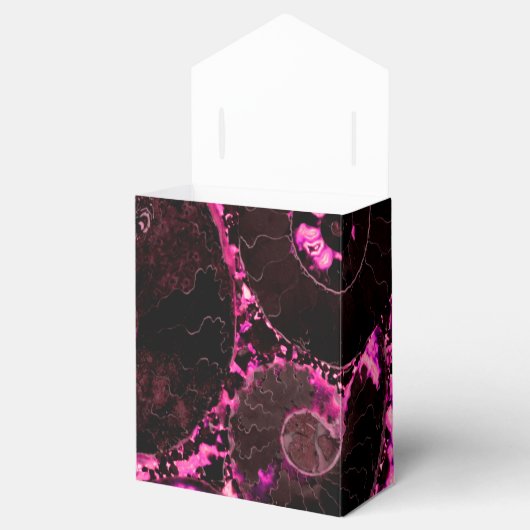 Nautilus shell - roze ontwerp bedankdoosjes (Geopend)