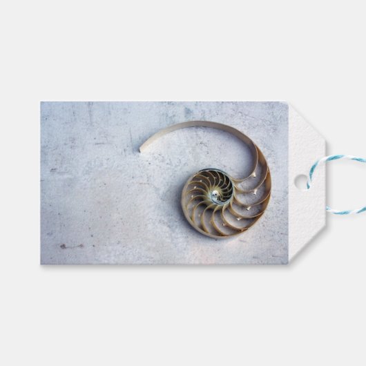 nautilus shell schelp Fibonacci spiraal cadeau lab Cadeaulabel (Voorkant (Horizontaal))