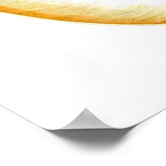 Nautilus Shell Seashell no.8 Beach Decor Art Print (Hoek)