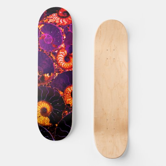 Nautilus shell skateboard (Voorkant)