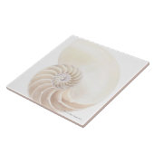 Nautilus Shell Tegeltje (Zijkant)
